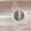 Hypnose-CD Der Schmetterling